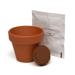 Mini Box Seed Kit