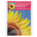 Seed Packets